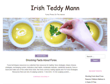 Tablet Screenshot of irishteddymann.com